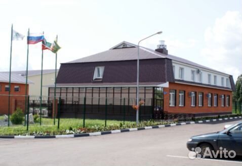 Инвестиции в готовый бизнес - молокозавод