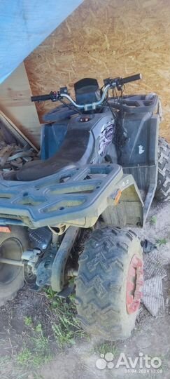 Avantis hunter 200 big