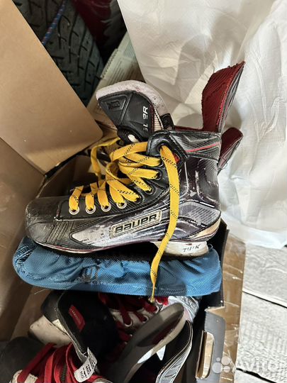 Коньки bauer vapor x800