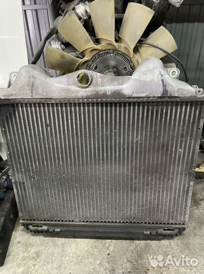 Интеркулер Man Tga