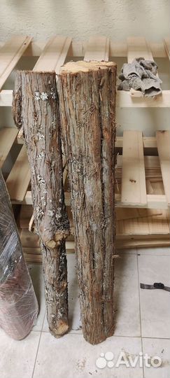 Бревна можжевельника