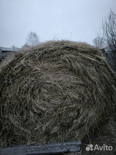 Сено в тюках