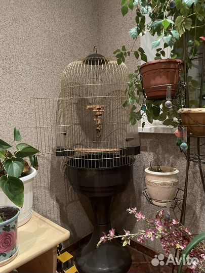 Клетка для попугая крупного