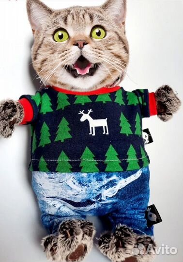 Одежда для Басика Распродажа