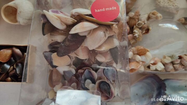 Ракушки для творчества