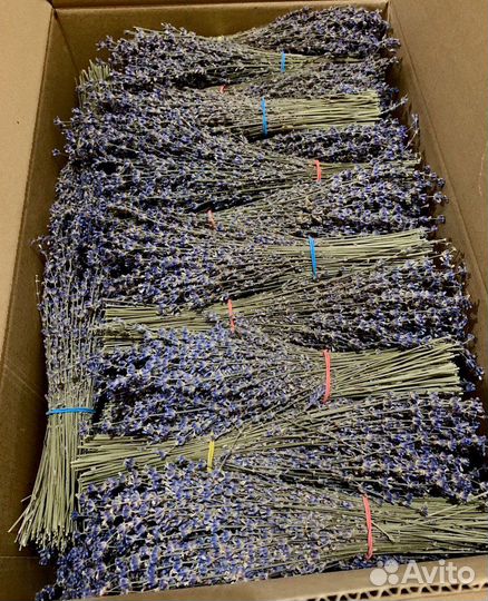 Букет из Лаванды
