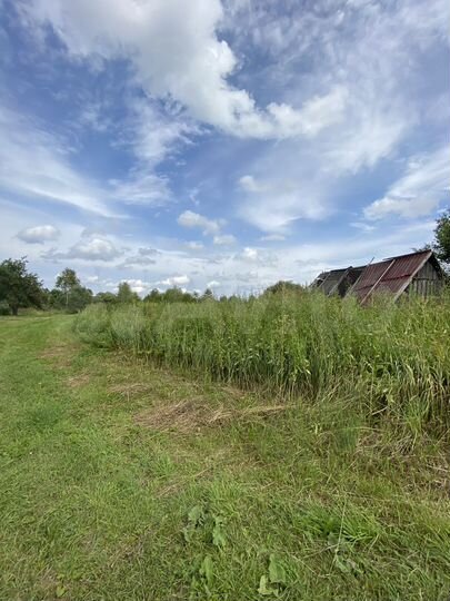 Участок 30 сот. (ИЖС)