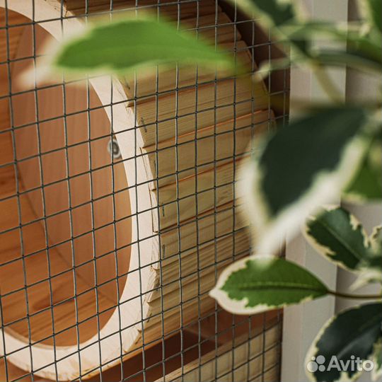 Витрина Клетка для шиншилл дегу грызунов хорька