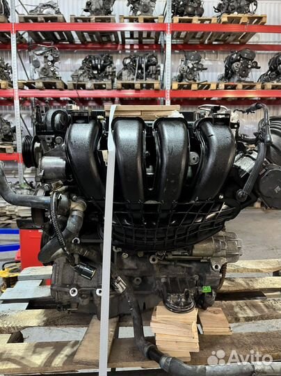 Двигатель mgda Ford Focus контрактный