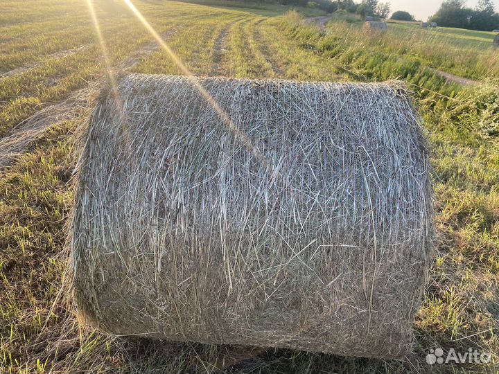 Сено луговое в рулонах