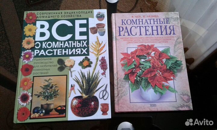 Любителям комнатных растений