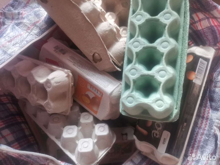 Ячейки для яиц