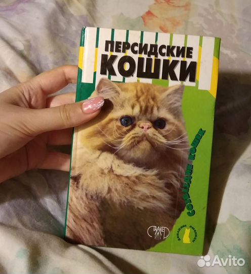 Персидские кошки. Н. Крылова, И. Афонина