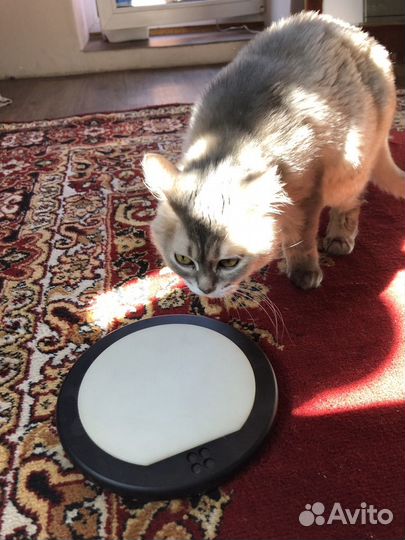 Тренировочный пэд для барабанщиков