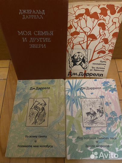 Джек Даррел