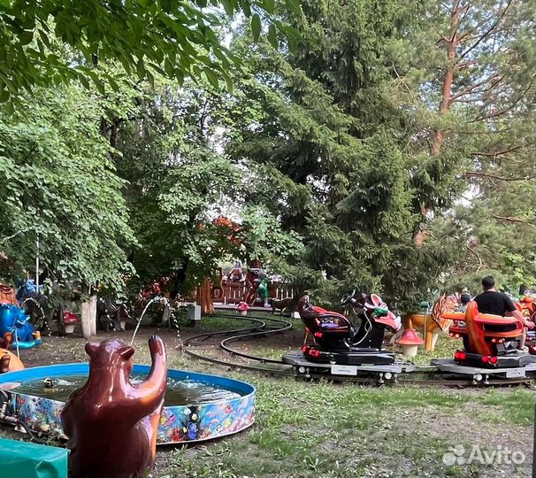 Сафари (новый дизайн) семейный аттракцион