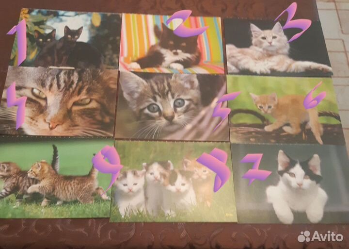 Открытки от лейбла Naumann & Gbel