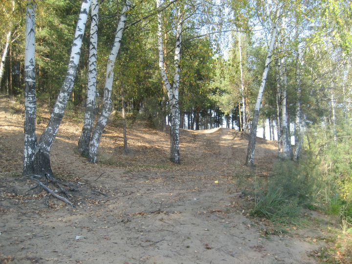 Участок 12 сот. (СНТ, ДНП)