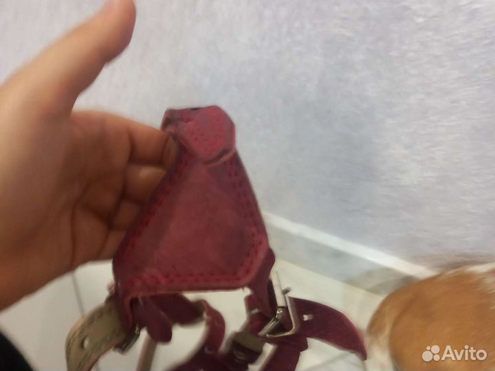 Шлейка для собаки