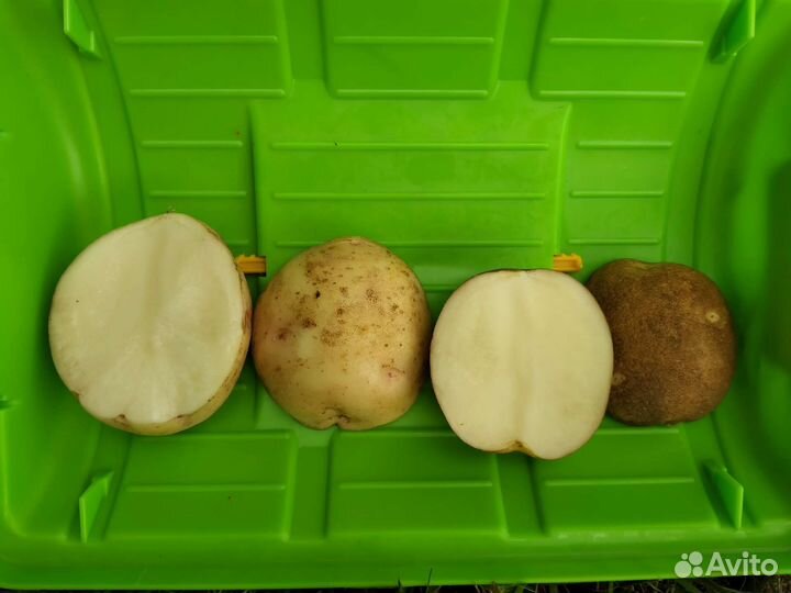 Продукты питания