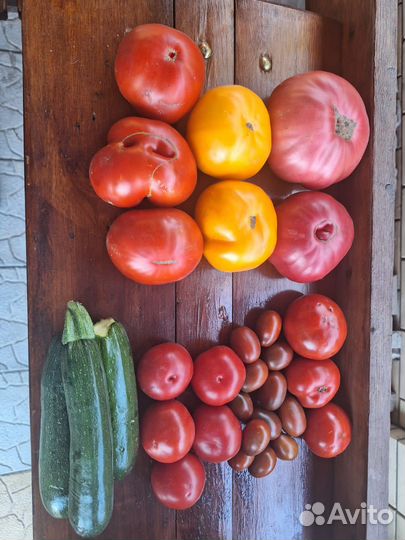 Помидоры