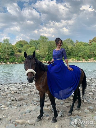 Фотосессии, аренда лошади