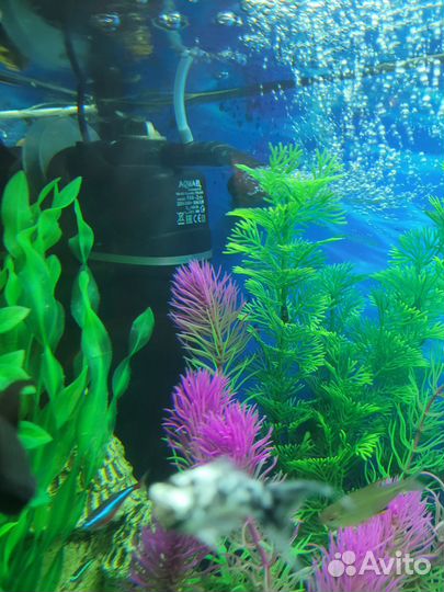 Фильтр для аквариума aquael fan2 plus 150 литров