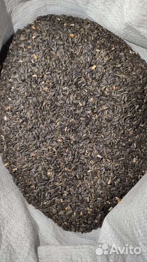 Пшеница овес просо ячмень семечки кукуруза зерно
