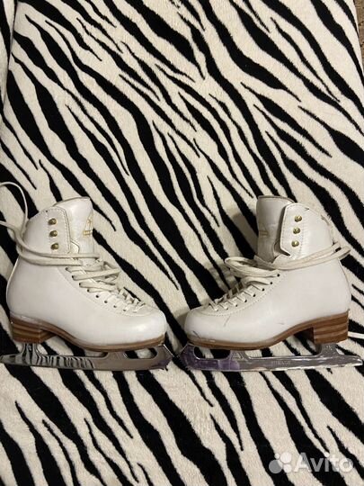 Фигурные коньки jackson elle