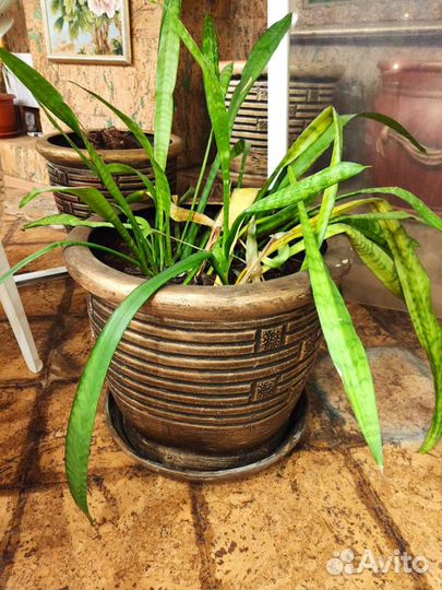 Цветочные напольные горшки