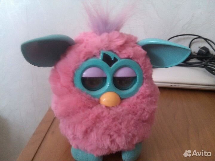 Продам фербиков