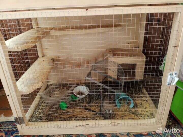 Клетка для грызунов белок