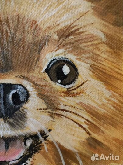 Вигвам для питомца с рисунком