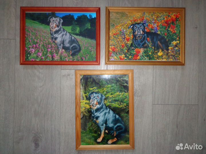 Картины, рамка для фото