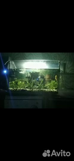 Аквариум большой бу