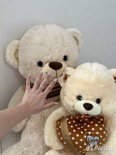 Плюшевый медведь