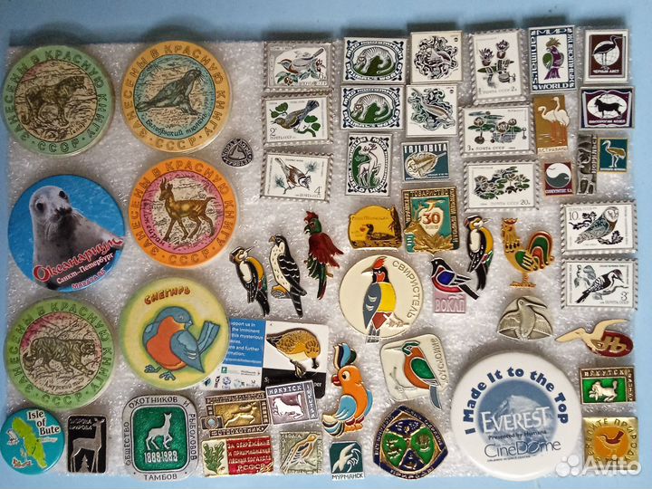 Значки о животных, растениях, птицах