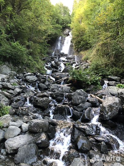 Поездка на озеро Рица