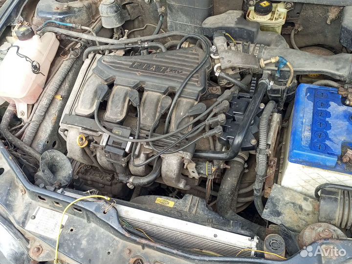 Fiat bravo Maria brava фиатбраво Мариа разбор