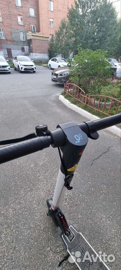 Электро самокат tribe