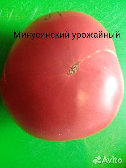 Коллекционные семена Минусинских томатов