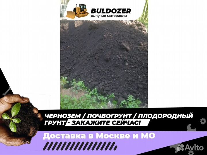 Чернозем
