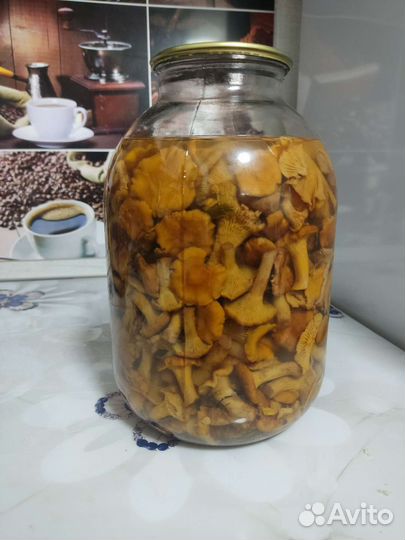 Грибы маринованные и соленые