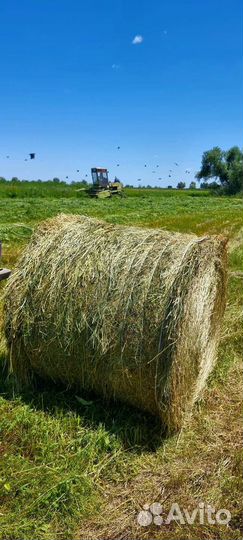 Сено в рулонах