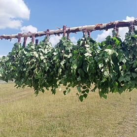 Веники,оптом или в розницу