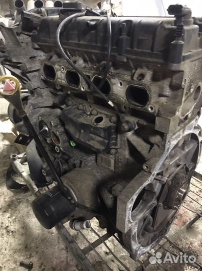 Двс 1,6 Ford Focus 3