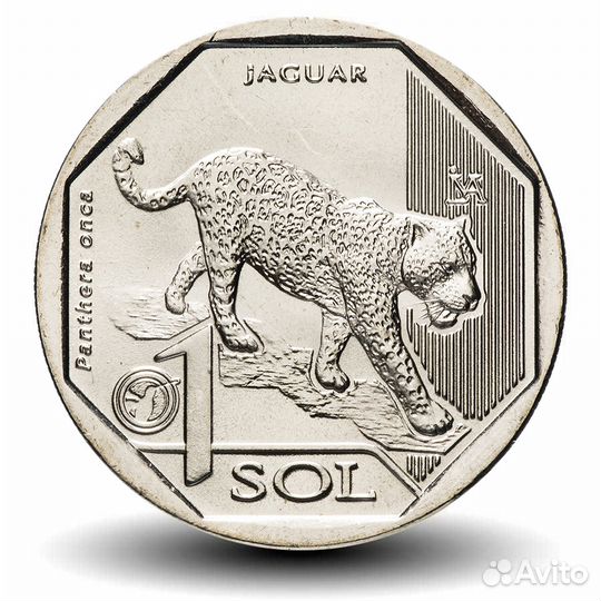 Монеты Перу Красная книга, животные, Андская кошка