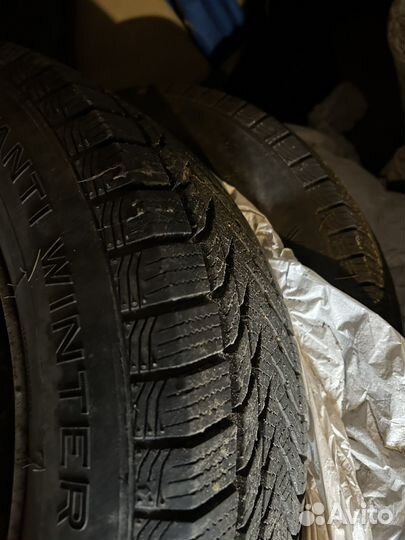 Centara Winter RX621 185/65 R15