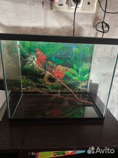Аквариум 35 л