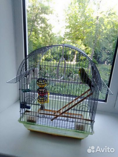 Клетка для попугая